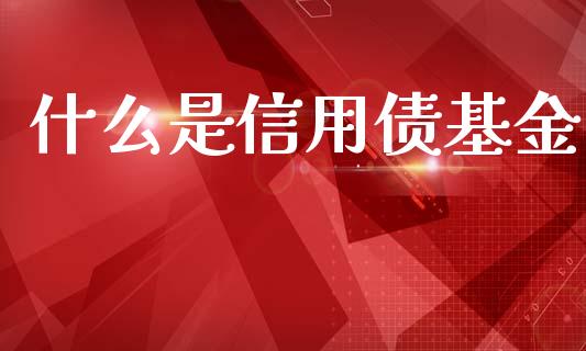 什么是信用债基金_https://www.qmgjg.com_香港恒生指数_第1张