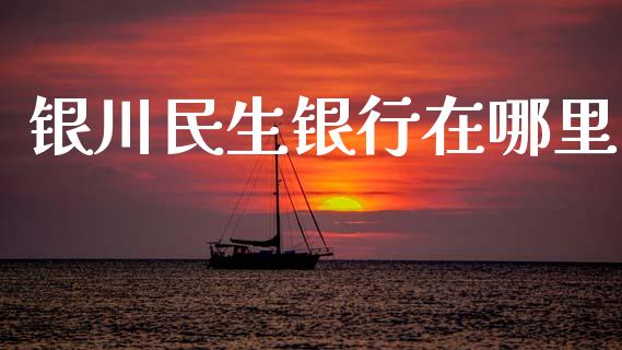 银川民生银行在哪里_https://www.qmgjg.com_恒生指数期货_第1张