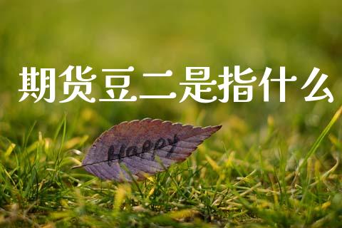 期货豆二是指什么_https://www.qmgjg.com_恒生指数期货_第1张