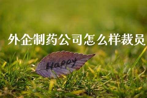 外企制药公司怎么样裁员_https://www.qmgjg.com_恒生指数是什么_第1张
