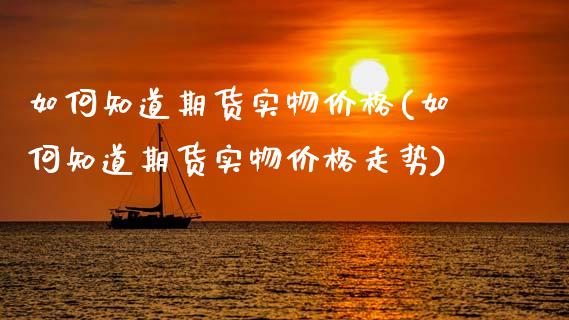 如何知道期货实物价格(如何知道期货实物价格走势)_https://www.qmgjg.com_港股恒生指数_第1张