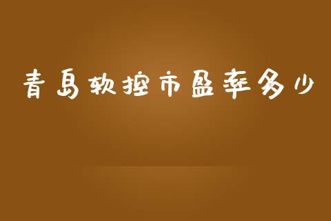 青岛软控市盈率多少_https://www.qmgjg.com_香港恒生指数_第1张