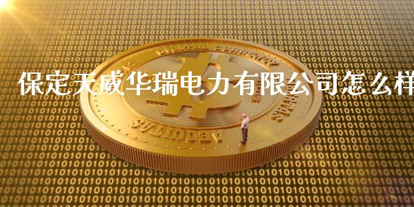 保定天威华瑞电力有限公司怎么样_https://www.qmgjg.com_香港恒生指数_第1张