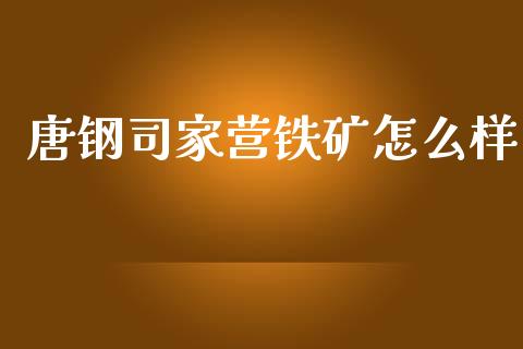 唐钢司家营铁矿怎么样_https://www.qmgjg.com_香港恒生指数_第1张