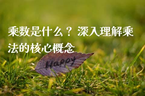 乘数是什么？ 深入理解乘法的核心概念_https://www.qmgjg.com_香港恒生指数_第1张
