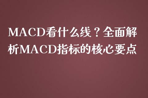 MACD看什么线？全面解析MACD指标的核心要点_https://www.qmgjg.com_香港恒生指数_第1张