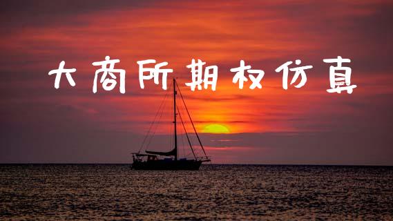 大商所期权仿真_https://www.qmgjg.com_香港恒生指数_第1张