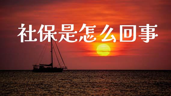 社保是怎么回事_https://www.qmgjg.com_香港恒生指数_第1张