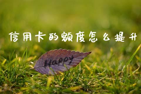 信用卡的额度怎么提升_https://www.qmgjg.com_香港恒生指数_第1张