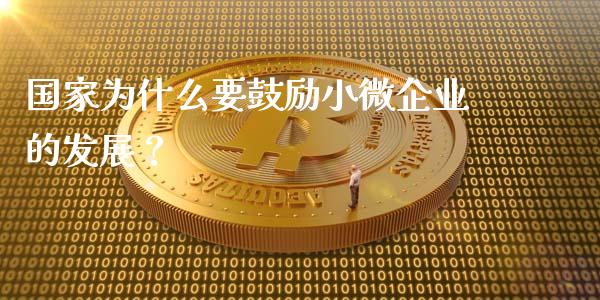 国家为什么要鼓励小微企业的发展？_https://www.qmgjg.com_香港恒生指数_第1张