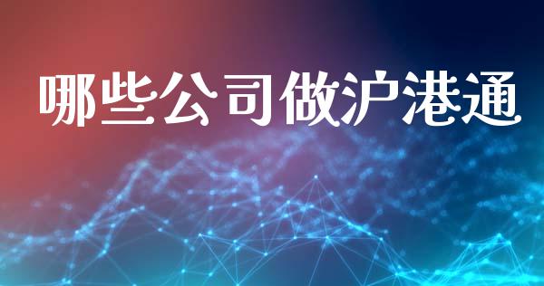 哪些公司做沪港通_https://www.qmgjg.com_恒生指数期货_第1张