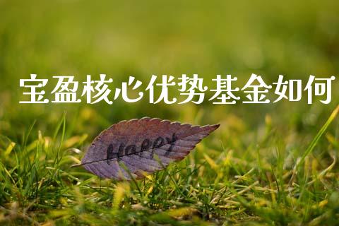 宝盈核心优势基金如何_https://www.qmgjg.com_恒生指数是什么_第1张