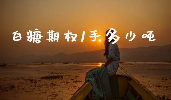 白糖期权1手多少吨_https://www.qmgjg.com_恒生指数是什么_第1张