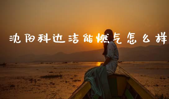 沈阳科达洁能燃气怎么样_https://www.qmgjg.com_香港恒生指数_第1张