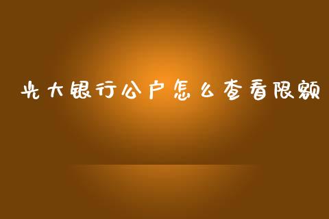 光大银行公户怎么查看限额_https://www.qmgjg.com_香港恒生指数_第1张