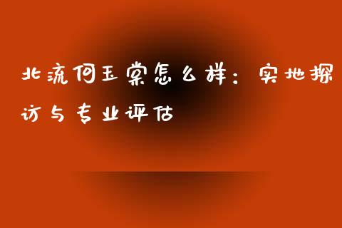 北流何玉棠怎么样：实地探访与专业评估_https://www.qmgjg.com_恒生指数是什么_第1张