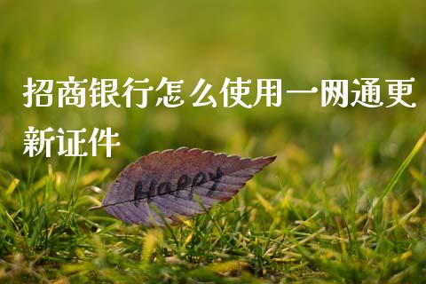 招商银行怎么使用一网通更新证件_https://www.qmgjg.com_恒生指数期货_第1张