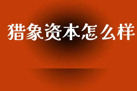猎象资本怎么样_https://www.qmgjg.com_恒生指数期货_第1张