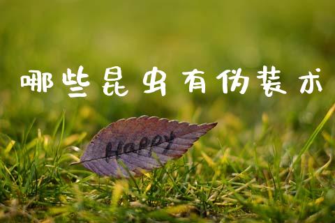哪些昆虫有伪装术_https://www.qmgjg.com_恒生指数期货_第1张