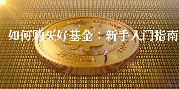 如何购买好基金：新手入门指南_https://www.qmgjg.com_香港恒生指数_第1张