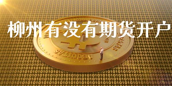 柳州有没有期货开户_https://www.qmgjg.com_恒生指数期货_第1张