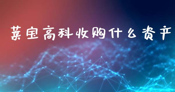 莱宝高科收购什么资产_https://www.qmgjg.com_港股恒生指数_第1张