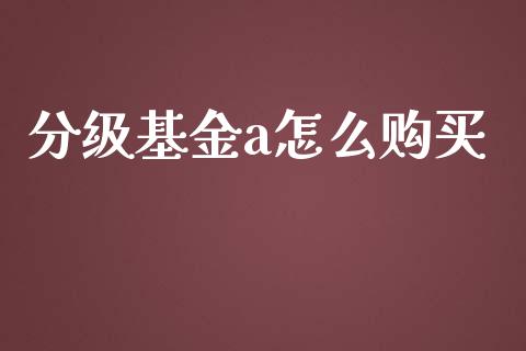 分级基金a怎么购买_https://www.qmgjg.com_港股恒生指数_第1张