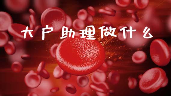 大户助理做什么_https://www.qmgjg.com_恒生指数期货_第1张