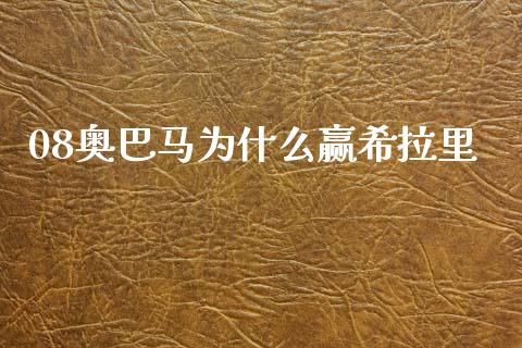 08奥巴马为什么赢希拉里_https://www.qmgjg.com_恒生指数期货_第1张