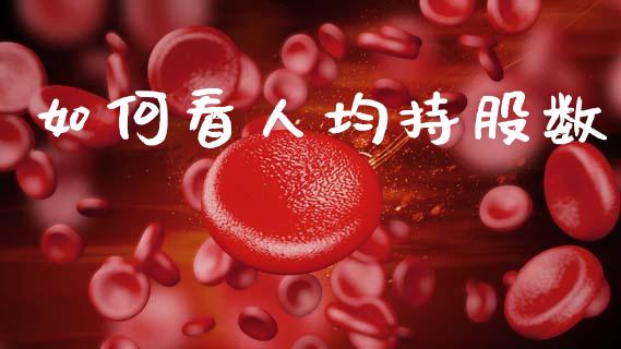如何看人均持股数_https://www.qmgjg.com_恒生指数是什么_第1张