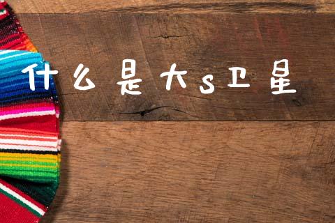 什么是大s卫星_https://www.qmgjg.com_港股恒生指数_第1张