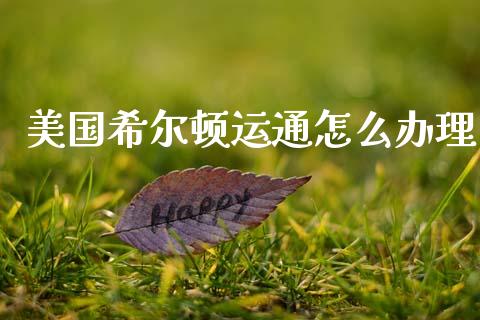 美国希尔顿运通怎么办理_https://www.qmgjg.com_恒生指数是什么_第1张