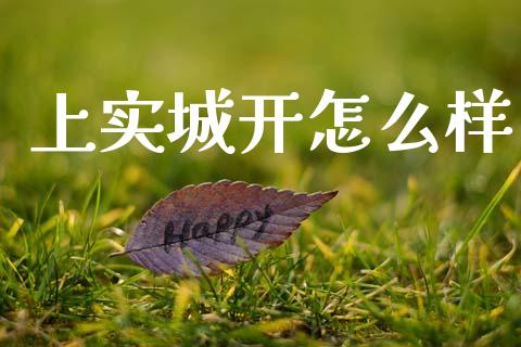 上实城开怎么样_https://www.qmgjg.com_恒生指数期货_第1张