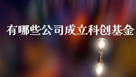 有哪些公司成立科创基金_https://www.qmgjg.com_香港恒生指数_第1张
