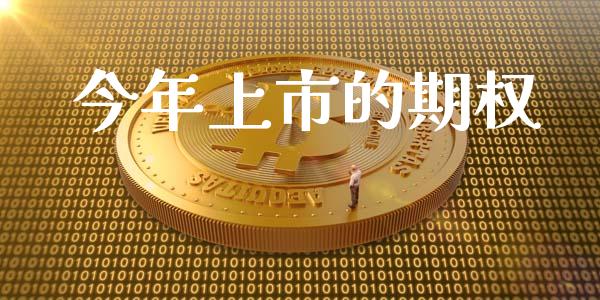 今年上市的期权_https://www.qmgjg.com_香港恒生指数_第1张