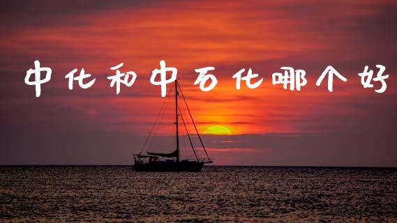 中化和中石化哪个好_https://www.qmgjg.com_恒生指数是什么_第1张