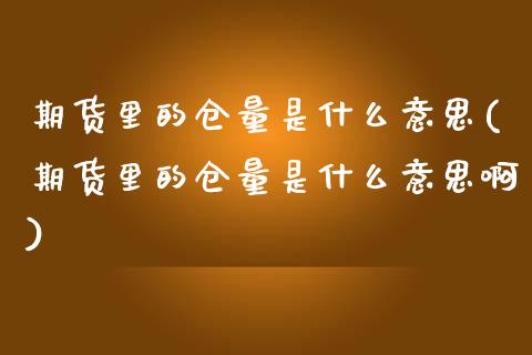期货里的仓量是什么意思(期货里的仓量是什么意思啊)_https://www.qmgjg.com_恒生指数期货_第1张