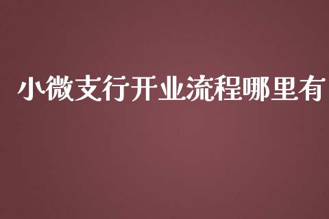 小微支行开业流程哪里有_https://www.qmgjg.com_香港恒生指数_第1张