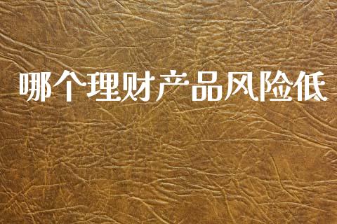 哪个理财产品风险低_https://www.qmgjg.com_恒生指数是什么_第1张
