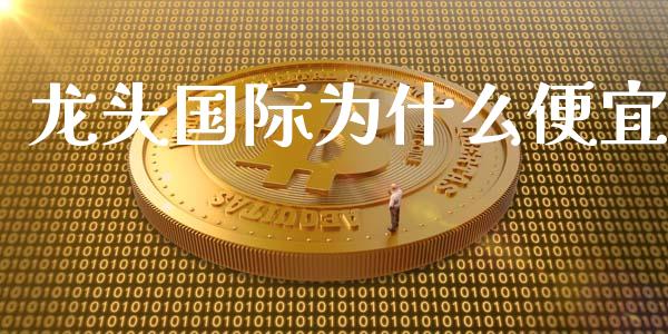 龙头国际为什么便宜_https://www.qmgjg.com_恒生指数期货_第1张