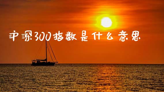 沪深300指数是什么意思_https://www.qmgjg.com_恒生指数是什么_第1张