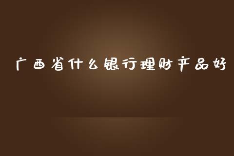 广西省什么银行理财产品好_https://www.qmgjg.com_恒生指数期货_第1张