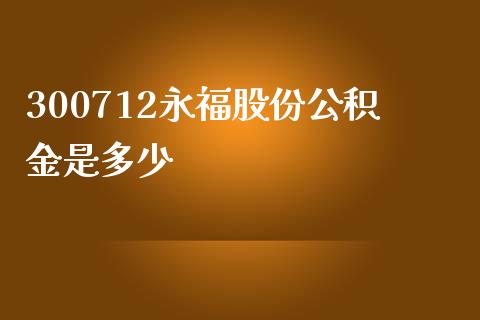 300712永福股份公积金是多少_https://www.qmgjg.com_恒生指数期货_第1张