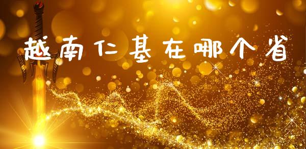 越南仁基在哪个省_https://www.qmgjg.com_恒生指数是什么_第1张