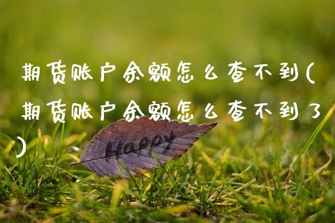 期货账户余额怎么查不到(期货账户余额怎么查不到了)_https://www.qmgjg.com_港股恒生指数_第1张