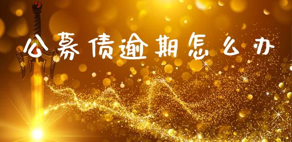 公募债逾期怎么办_https://www.qmgjg.com_恒生指数期货_第1张