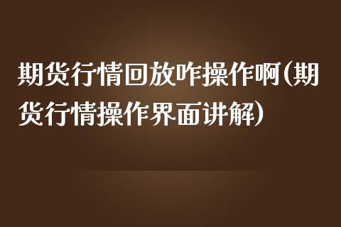 期货行情回放咋操作啊(期货行情操作界面讲解)_https://www.qmgjg.com_恒生指数是什么_第1张