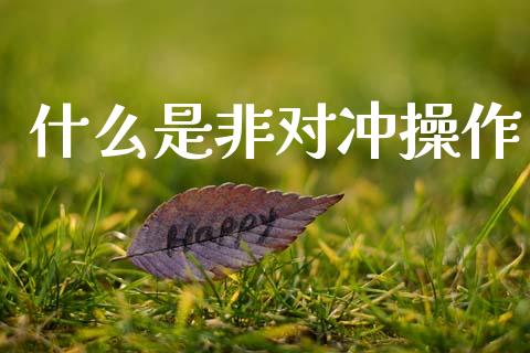 什么是非对冲操作_https://www.qmgjg.com_恒生指数是什么_第1张