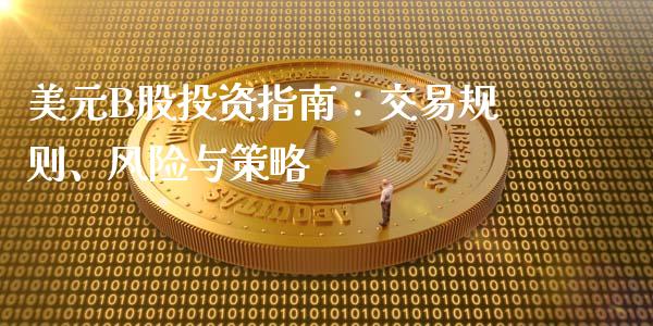 美元B股投资指南：交易规则、风险与策略_https://www.qmgjg.com_恒生指数期货_第1张