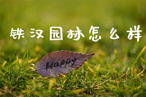 铁汉园林怎么样_https://www.qmgjg.com_香港恒生指数_第1张